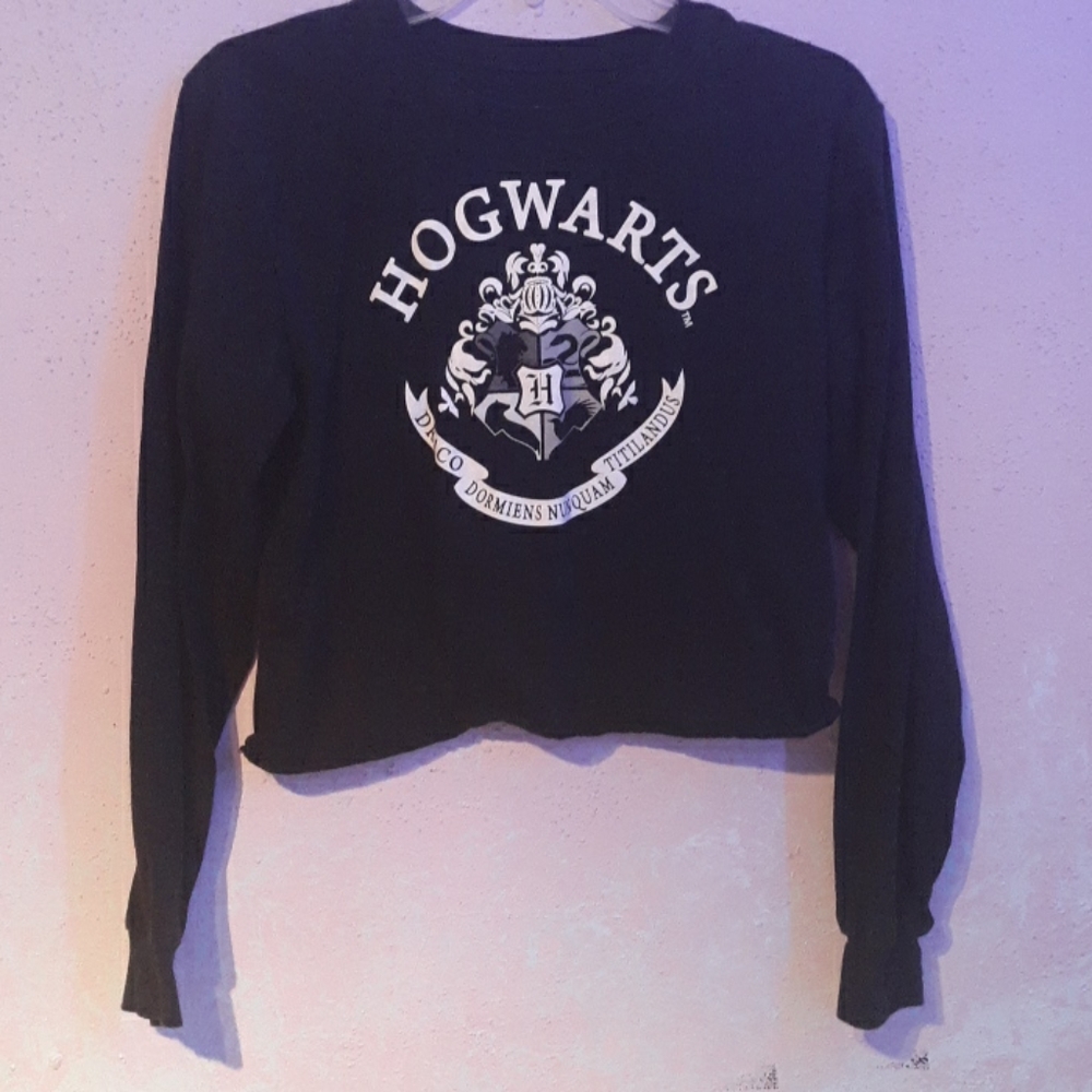 Hogwarts crop top
